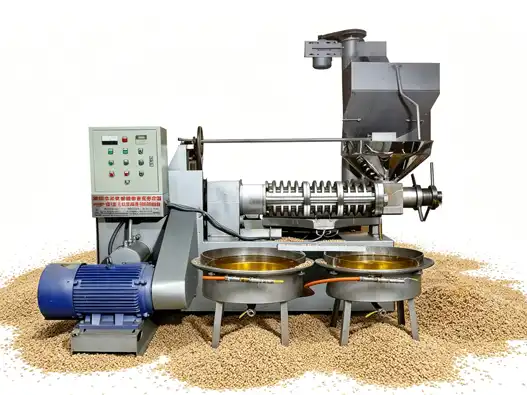 What is the best mousiture to press the sesame oil by screw oil press machine?
